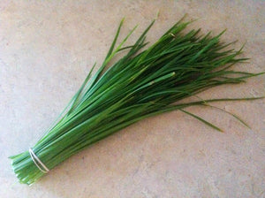 Garlic Chives
