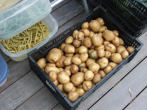 Potatoes, Red $2.00/lb.