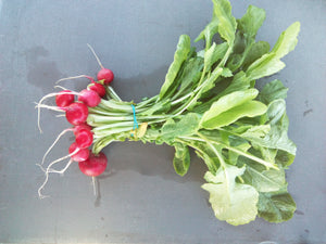 Radishes $2.25/bundle