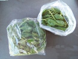 Spinach $3.50/150 grams bag