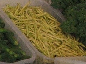 Beans, yellow or Wax beans $6.00/lb.