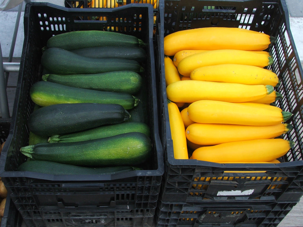 Zucchini, green or yellow $2.50 each